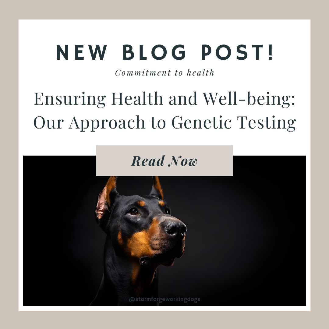 Ensuring Health and Well-being: Our Approach to Genetic Testing